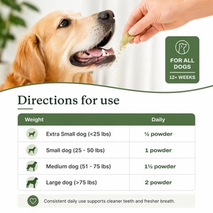Friandises et poudre dentaires OEM pour chiens et chats : Soin avancé pour la santé des gencives et une haleine fraîche – Vente en gros - Product Image 5