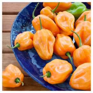 พริกฮาบาเนโรสดสำหรับซูเปอร์มาร์เก็ต ร้านขายของชำ และตลาดผักขายส่ง - Product Image 5