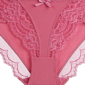 Nueva Moda, Lencería Sexy de Encaje Elástico de Talla Grande para Mujer, Bragas Diarias para Dama con Ligueros, Bragas de Mujer a Precio Económico - Product Image 2