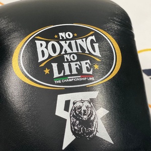 Último Modelo No Boxing No Life, Guantes de Boxeo con Cordones en Verde, Blanco, Rojo y Negro, Precio al por Mayor, Guantes Personalizados con Nombre - Product Image 3