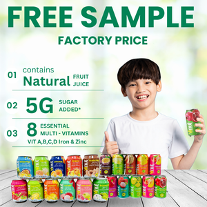 เครื่องดื่มน้ำผลไม้ผสม330มล. (11.1ฟล็อซ) โรงงานเครื่องดื่มเวียดนามปราศจากน้ำตาลราคาส่งฉลากส่วนตัว - Product Image 4