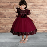 Robe de princesse de luxe pour enfants, en velours brodé de sequins bordeaux, respirante, en tulle, pour filles, idéale pour mariage, anniversaire, tenue de soirée formelle (ODM)