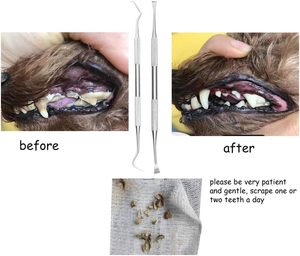 Dog <b>Teeth</b> <b>Cleaning</b> <b>Tools</b> Tarter Remover Canine Dental Scraper Scaler <b>Tools</b> Pet <b>Tooth</b> Cleaner Stainless Steel with Double Head - Product Image 4