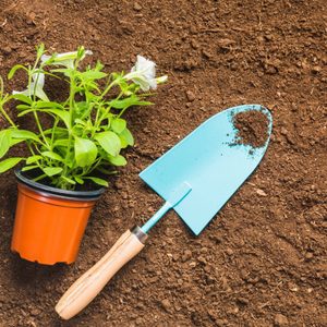 Poudre de vermicompost de fumier de vache haute performance, booster de sol pour la nutrition des cultures, les jardins, les pépinières et l'aménagement paysager commercial - Product Image 1