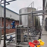 Industriële Fruitjam Verwerkingslijn Tomaten Pasta Productielijn Maken Machine Van Tomatenketchup