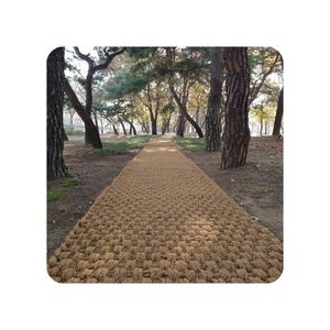HOT SELLING coir door <b>mat</b> for entryway dust removal and shoe wiping for indoor outdoor home entrance use Vietnam Outdoor Carpets - Product Image 1