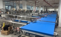 Système d'emballage automatique de biscuits et de cookies avec alimentation et empilage, ligne de machines d'emballage de biscuits à commande PLC pour fabricants de biscuits