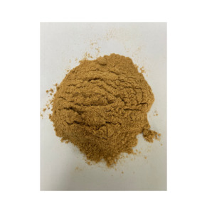 Poudre de protéines de bœuf hydrolysée de qualité supérieure pour compléments nutritionnels et applications de fortification alimentaire - Product Image 1