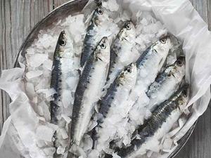 1 Ton serpihan air laut mesin es industri ikan digunakan di kapal pancing - Product Image 6