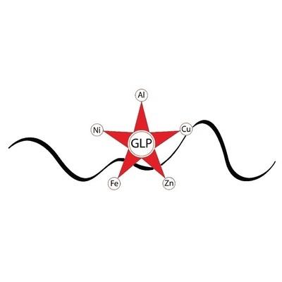 G.L.P. SRL logo