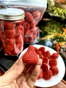 Fabricant et Fournisseur d'Extrait de Fraise Entière Lyophilisée Naturelle du Vietnam, Vente en Gros, Exportation, Haute Qualité, Service OEM - Product Image 6