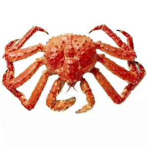 Cangrejo Real Rojo al por Mayor, Precio del Cangrejo Real Rojo - Product Image 1