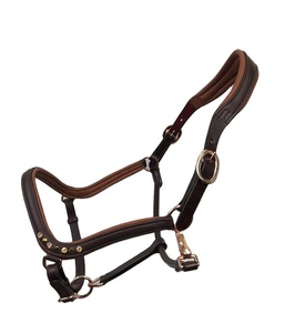 Halter de caballo inglés de alta calidad de cuero Premium con relleno suave y hebillas de latón Color y logotipo personalizados - Product Image 1