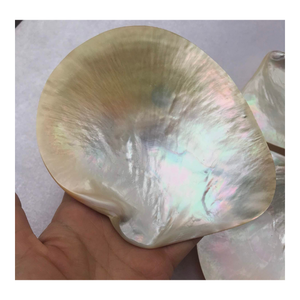 Plateau en nacre naturelle de luxe, fait main, élégant, inspiré de l'océan, pour la décoration de la maison, vaisselle - Product Image 1