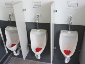 El remolque sanitario móvil tiene capacidad para aproximadamente 350 personas en un período de 24 horas. - Product Image 4