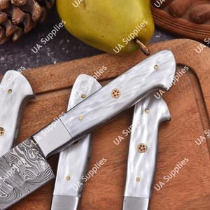 Ensemble de couteaux de chef de cuisine professionnels en acier Damas forgé à la main, 5 pièces, manche intégral, ambidextres, support de personnalisation OEM/ODM - Product Image 4