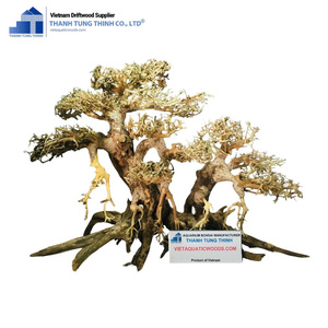 Madera flotante para acuarios, bonsáis y reptiles, ramas de madera para paisajismo de acuarios, decoración para peceras de Vietnam para mayoristas - Product Image 3