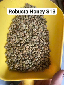 Granos de Café Verde ROBUSTA de Alta Calidad, la Mejor Calidad para Tostar, Proceso de Pulido Húmedo, Empaquetado en Bolsas de 60 kg/PP - Product Image 4