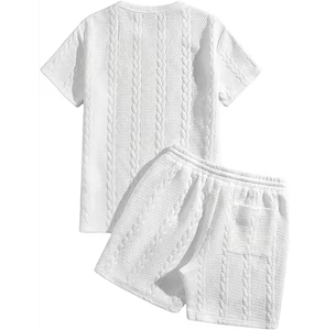 Ensemble de vêtements de sport pour homme, été, fin, séchage rapide, haut à manches courtes et short de sport, ensemble de shorts pour homme - Product Image 4