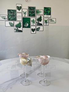 Decoración Costera de Vidrio con Conchas Marinas Hechas a Mano en Vietnam, Regalo con Temática Oceánica para Casa de Playa, Decoración para Bodas - Product Image 4