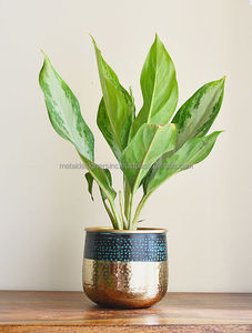 Ensemble de 2 vases à fleurs en métal uniques et attrayants pour la décoration de la maison, décorateurs de sol pour mariage ou toute occasion - Product Image 4