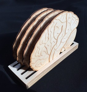 Brain Design <b>Coaster</b> Set Stylish Anatomical <b>Coasters</b> For Home Office <b>Table</b> Preventing Slipping And Spillage Of Drinks On <b>Tables</b> - Product Image 2