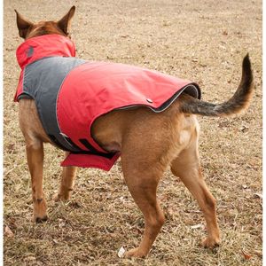 Giacca per Cani Convertibile 2-in-1 Lightening Shield, Impermeabile con Tecnologia Blackshark, Abbigliamento per Animali - Product Image 5