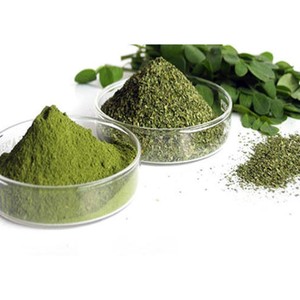Poudre de feuilles de Moringa de qualité supérieure pour la fabrication de produits à base de plantes, poudre naturelle à base de plantes pour les marchés de détail et de gros - Product Image 3