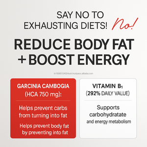 Complément de Garcinia Cambogia Bio en Comprimés (56 Jours) avec Vitamine B1 et HCA pour la Gestion du Poids et la Beauté chez l'Adulte – Déconseillé aux Femmes Enceintes - Product Image 2