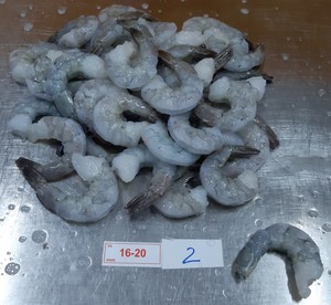 Tôm <span class=keywords><strong>Vannamei</strong></span> Việt Nam cao cấp bán buôn, đông lạnh, sống, đã tách vỏ, rút ruột, có đuôi, cỡ PTO 16-20, đóng gói dạng túi số lượng lớn - Product Image 2