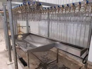 Ligne d'abattage de volailles compacte la plus vendue pour les unités de transformation de viande de petite et moyenne taille, disponible au meilleur prix du marché - Product Image 6