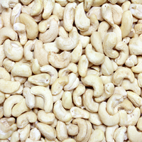 Premium kwaliteit cashewnoten groothandel, cashewnoten voor wereldwijde voedingsaankopers en distributeurs van gezonde snack-ingrediënten