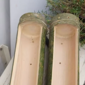 Maceta Colgante de Bambú Natural Hecha a Mano con Cuerda, Maceta de Tronco de Bambú de 25 cm para Orquídeas y Plantas Pequeñas, al por Mayor desde Vietnam - Product Image 4