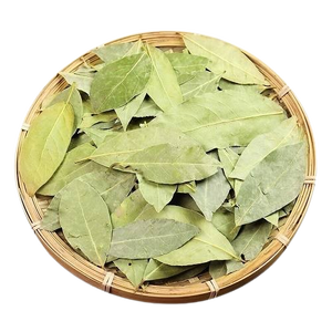 Hoja de laurel seca barata al por mayor de Vietnam |   Proveedor Mayorista de Hojas de Laurel Naturales para Exportación - Sra. Grace - Product Image 1