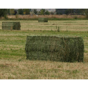 Heno de Alfalfa / Heno de Timothy / Heno de Alfalfa Rhode - Product Image 6