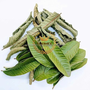 Cantidad a granel de Vietnam, hojas de Guanábana secas a máquina, 500g por bolsa, venta al por mayor para té y productos de salud - Product Image 5