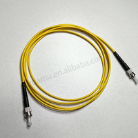 Cordon de brassage à fibre optique monomode DAMU ST ST Duplex 3,0 mm G652D/G657A PVC LSZH PC/UPC/APC Longueur personnalisée Câble de brassage FTTH