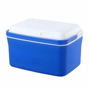 PP/EPS Cooler <b>Box</b> Food Beverage Eco-Friendly Modern Style Multi-Functional Outdoor <b>Camping</b> Portable Letter Pattern 195mm Depth - Product Image 1