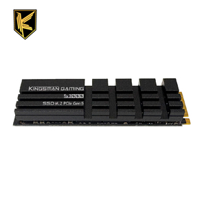 Unidad de Estado Sólido Interna NVMe M.2 2280 PCIe Gen5 de 1 TB con Caché DRAM, 14000 MB/s de Lectura/13000 MB/s de Escritura, Garantía de 5 Años para Juegos de Escritorio - Product Image 1