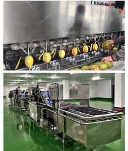 Máquina Peladora de <span class=keywords><strong>Mango</strong></span> de Cadena Totalmente Automática de 1000 Piezas/Hora para Plantas de Procesamiento de Alimentos, Adecuada para el Procesamiento de Frutas - Product Image 5