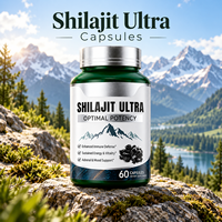 Capsules de Shilajit 60 unités – Complément alimentaire premium pour le bien-être quotidien avec résine minérale pour l'énergie, la vitalité et le soutien immunitaire