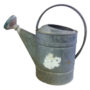 Galvanized Steel <b>Garden</b> Watering Can Rustic Farmhouse Decor Metal Watering Pot For Outdoor Plant Care And French Country Style - Product Image 1