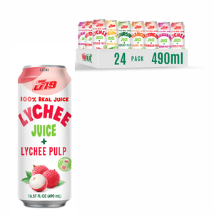 Boisson de jus de dragon OEM/ODM de 490ml avec échantillon gratuit de pulpe, marque privée, prix de gros du fabricant vietnamien J79 - Product Image 3