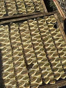 Snacks de Pescado Seco Tradicional con Rayas Amarillas - Textura Suave y Saludable, Sazonado con Especias y Hierbas de Vietnam - Product Image 4