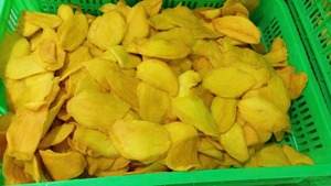 Tranches de mangue séchée moelleuses avec sucre, sucrées et moelleuses, en vrac, mangue séchée AD du Vietnam, vente en gros - Mme Tarina - Product Image 6