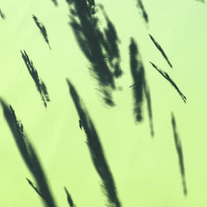 Uniformes de football à manches courtes de qualité supérieure, kits de football OEM d'usine, uniformes de football respirants sur mesure avec logo par sublimation - Product Image 4