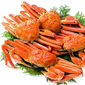 Patas de Cangrejo Rey y Cangrejo de Lodo Congeladas IQF/BQF de Primera Calidad con Huevas, Selladas al Vacío, Entrega Rápida, Mariscos al por Mayor - Product Image 6