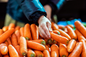 Zanahorias Congeladas en Cubos, Etiqueta Clean Label, Vegetal Natural Rico en Vitamina A para el Apoyo del Sistema Inmunológico / Sra. Alina - Product Image 2