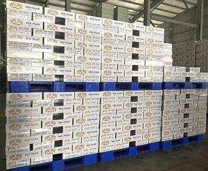 เครื่องดื่มชูกำลังเรดไทเกอร์ ผลิตภัณฑ์เครื่องดื่มอัดลมแบบกระป๋อง บริษัทผลิตในเวียดนาม - รับผลิตแบบ OEM ODM ผลิตภัณฑ์อาหารและเครื่องดื่ม - Product Image 5