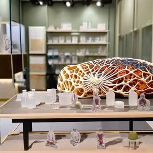 2x Enlarged Human Teeth Set of 25 in Break Resistant Material Accurate Anatomical Details for Medical Science - Product Image 2